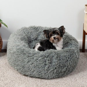 wayfair large dog beds