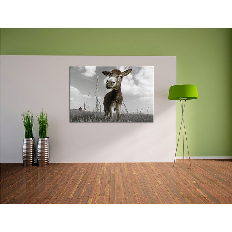 Esel in Feld in sonnigen Tag Leinwandbild Wanddeko Kunstdruck 