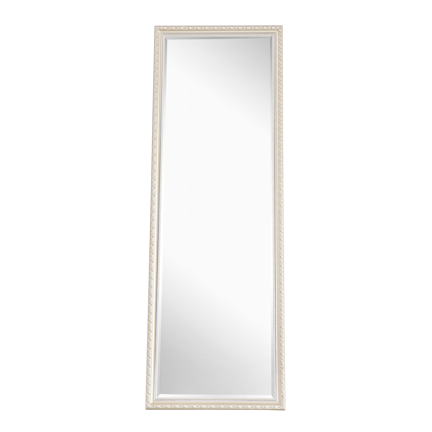 Red Barrel Studio® Tamaroa Tall Oversized Full Length Mirror, Large