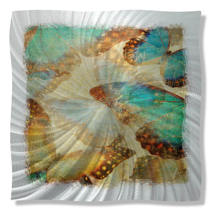 'Brilliant Butterflies' by Ash Carl Graphic Art Plaque