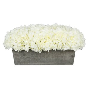 Hydrangeas Centerpiece in Planter