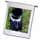 Skunk Garden Wayfair
