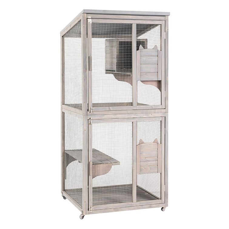 catio wayfair