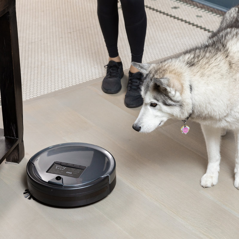 best robot vacuum for husky hair