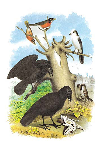 Buyenlarge The Raven By Edgar Allen Poe Painting Print Wayfair