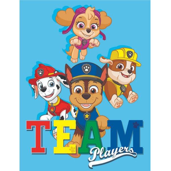 paw patrol team