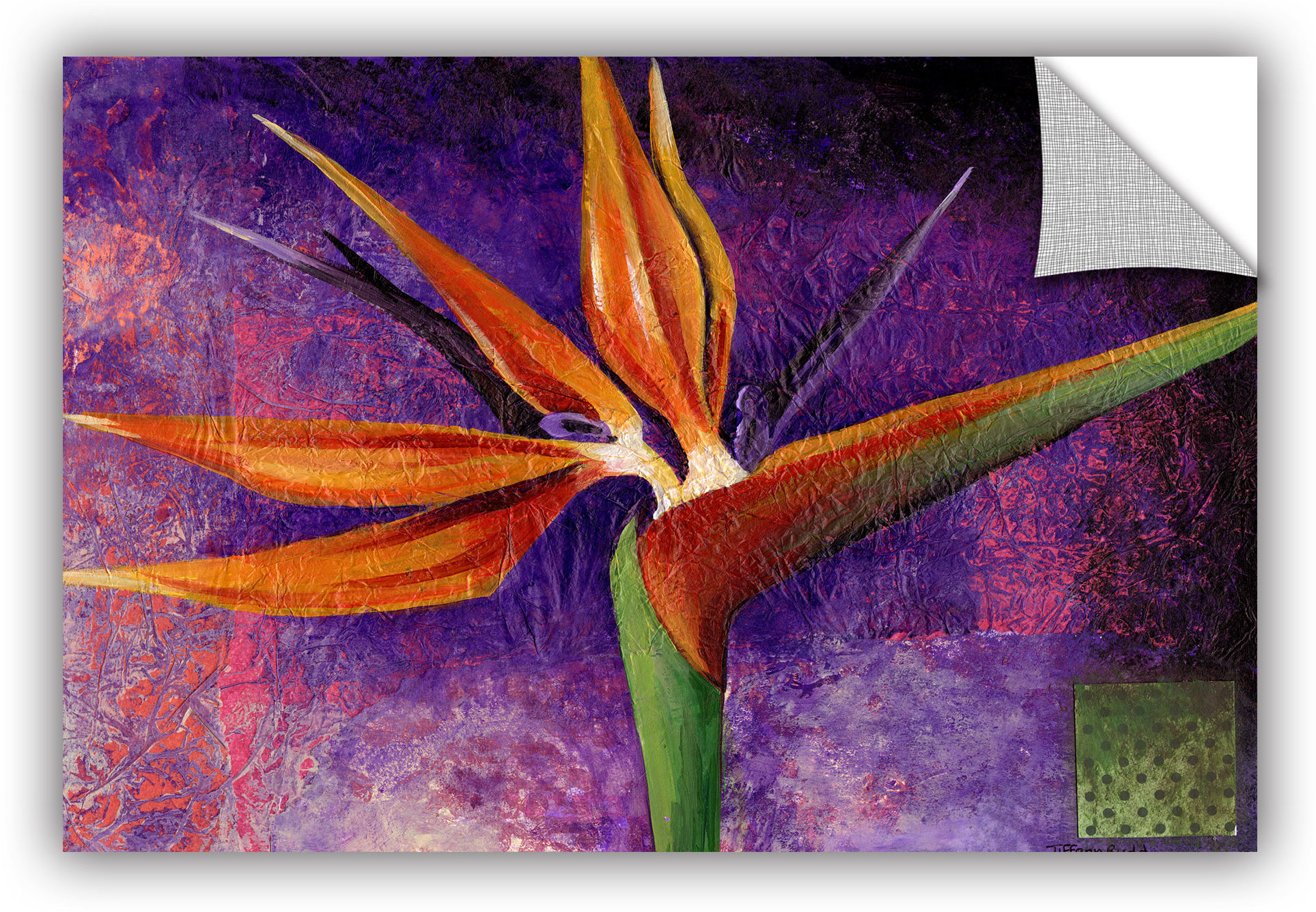 Winston Porter Bird of Paradise Wall Decal Wayfair