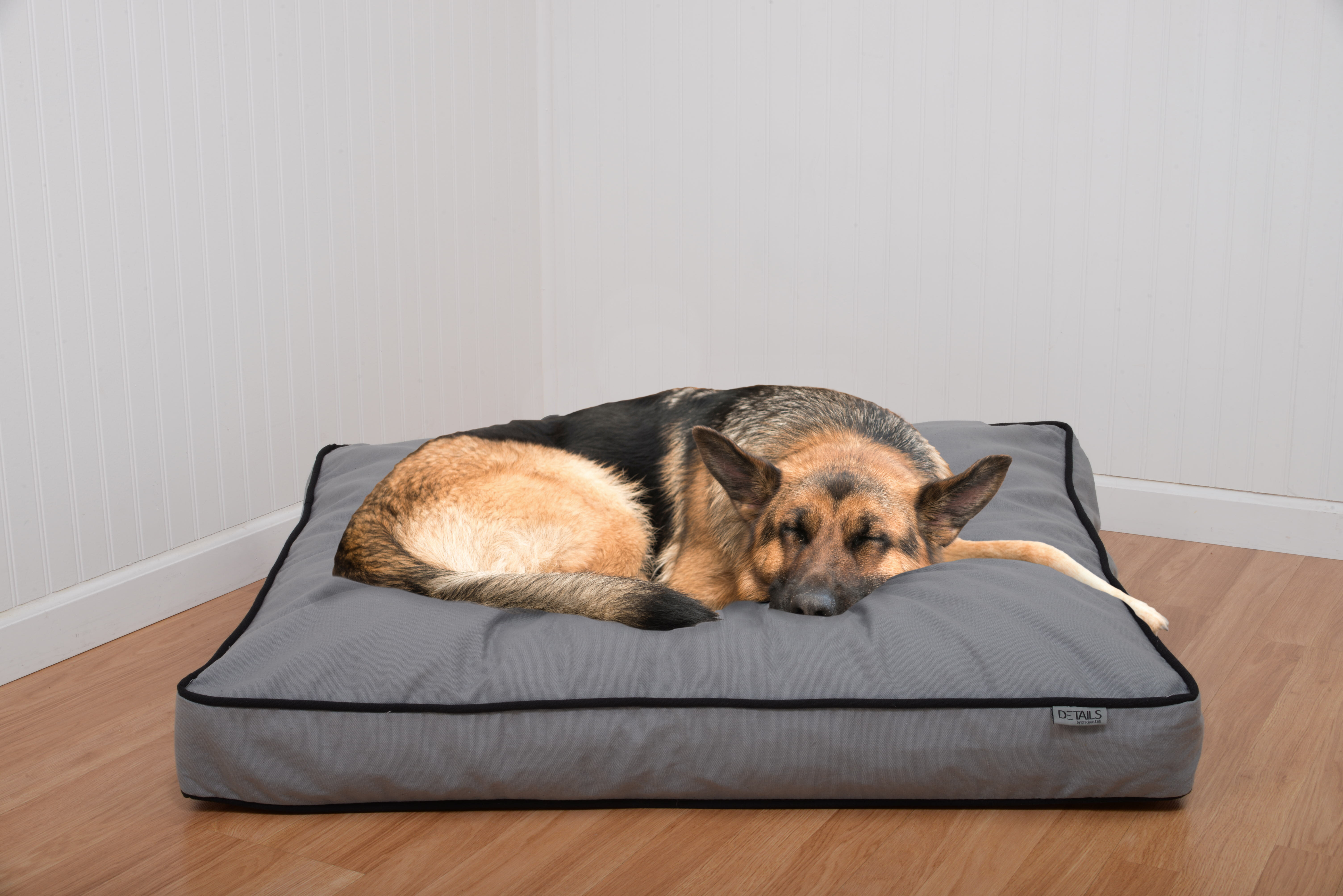 canvas dog bed