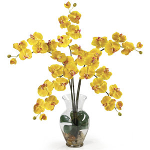Liquid Illusion Phalaenopsis Silk Orchid Flowers in Yellow