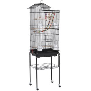 Bird Cage Money Box Available In Rust and Black **Free Post** 