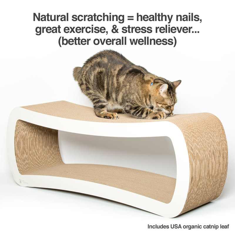 cat scratcher lounger