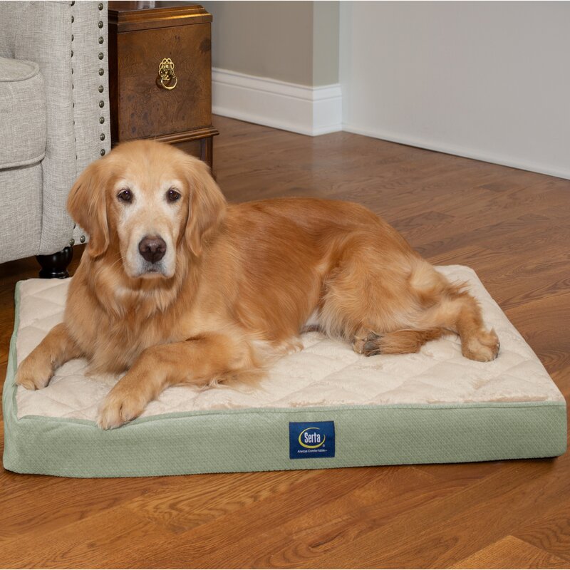 wayfair extra large dog beds