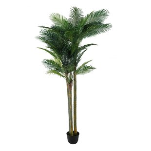 Artificial Palm Tree In Pot By The Seasonal Aisle
