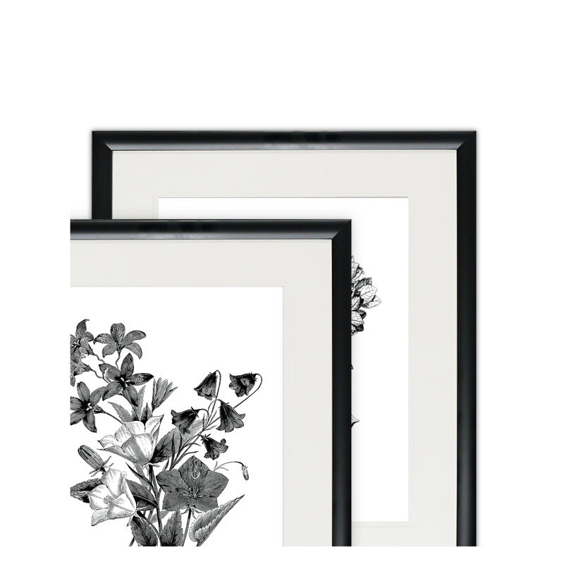 Ophelia Co Botanical Black And White 2 Piece Framed Acrylic