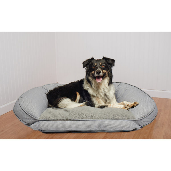 Foam Bolster Dog Bed Wayfair
