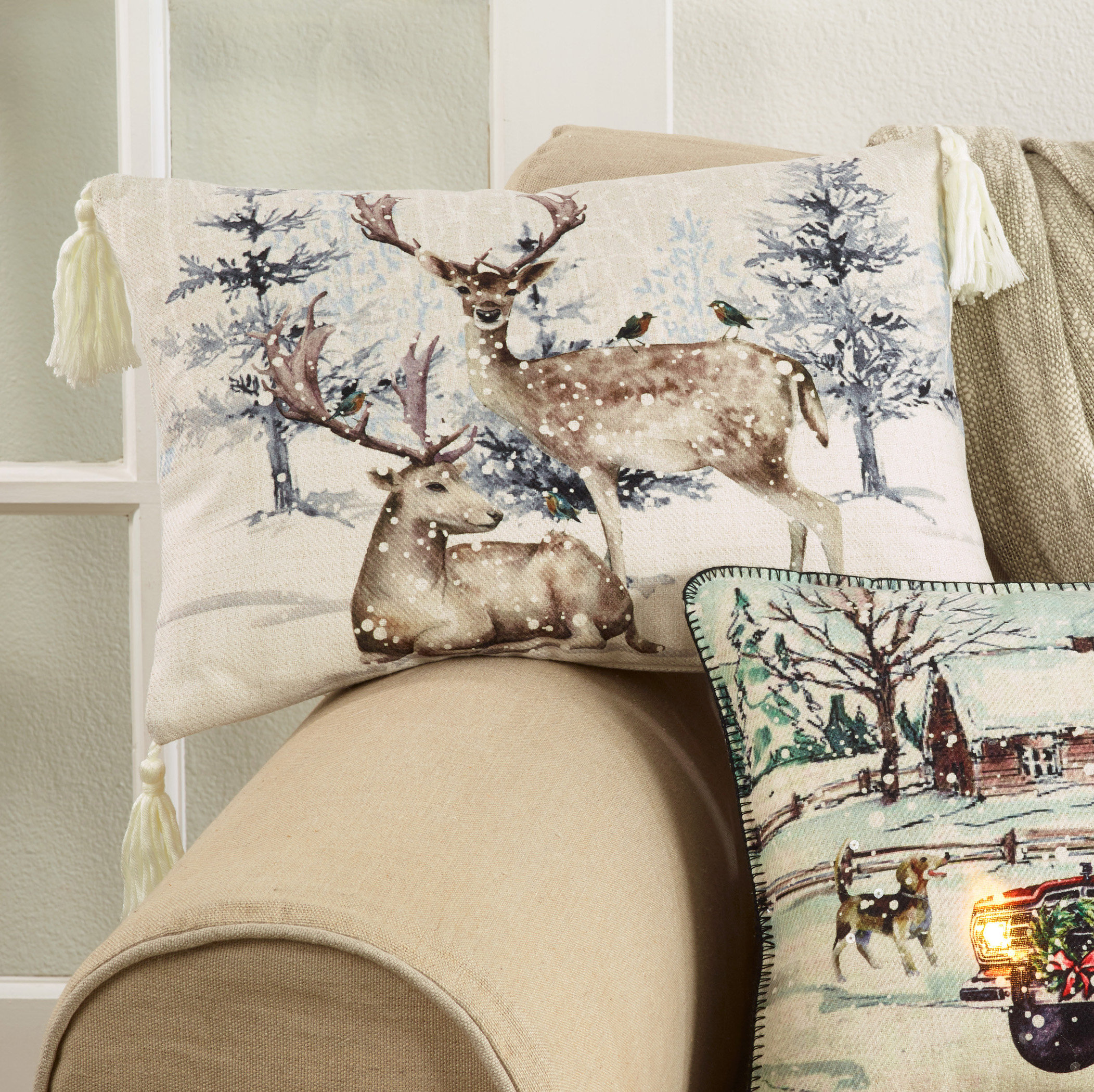 Millwood Pines Nalani Winter Design Christmas Pillow Cover Only