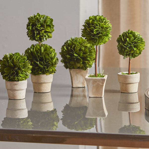 Mini Topiary Set Wayfair