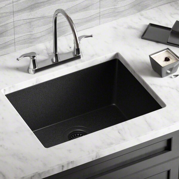 Granite Composite 22 L X 17 W Dual Mount Kitchen Sink
