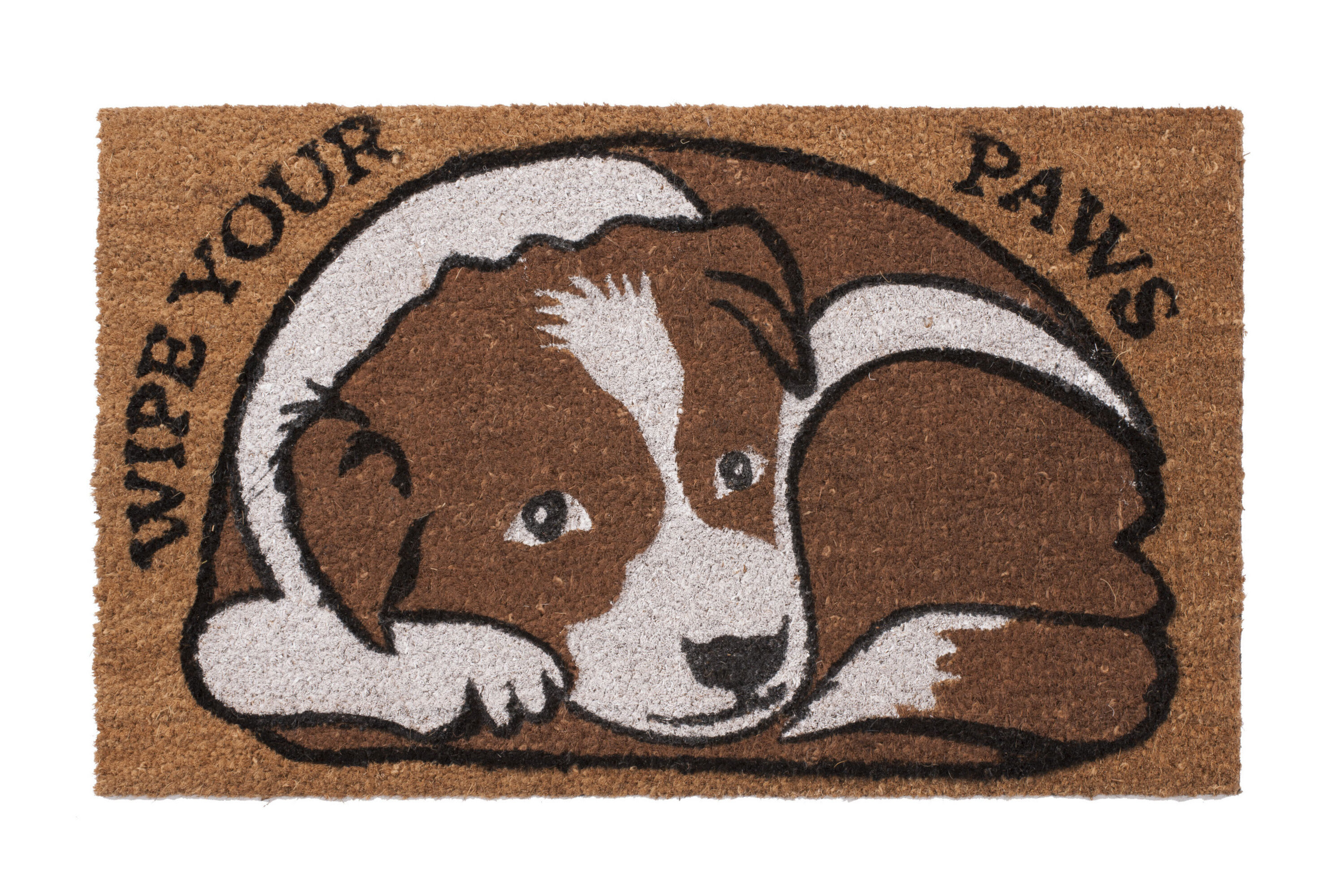 Ashlei Wipe Your Paws 30 In X 18 In Non Slip Outdoor Door Mat