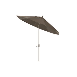 Coral Coast Umbrella Wayfair