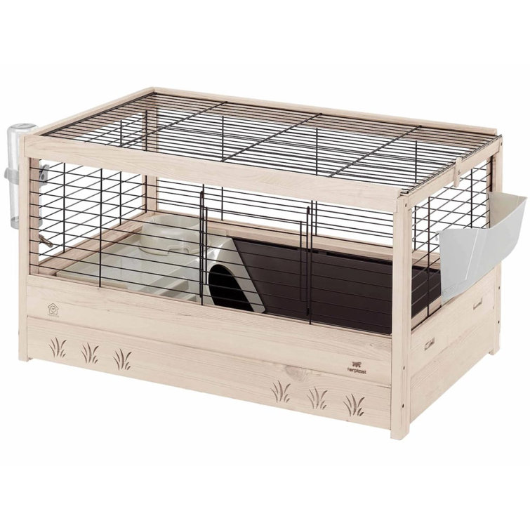 guinea pig pen