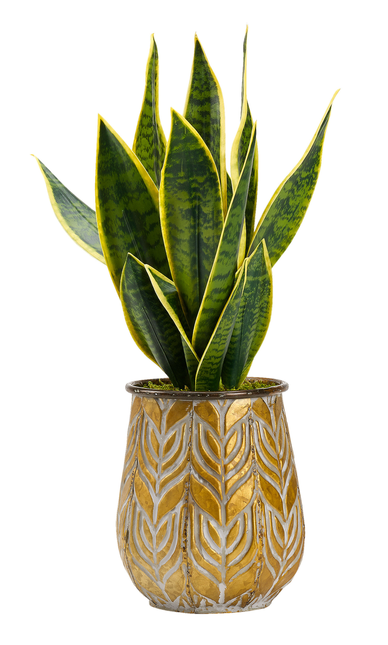 Primrue 8.5'' Artificial Snake Plant in Planter Wayfair