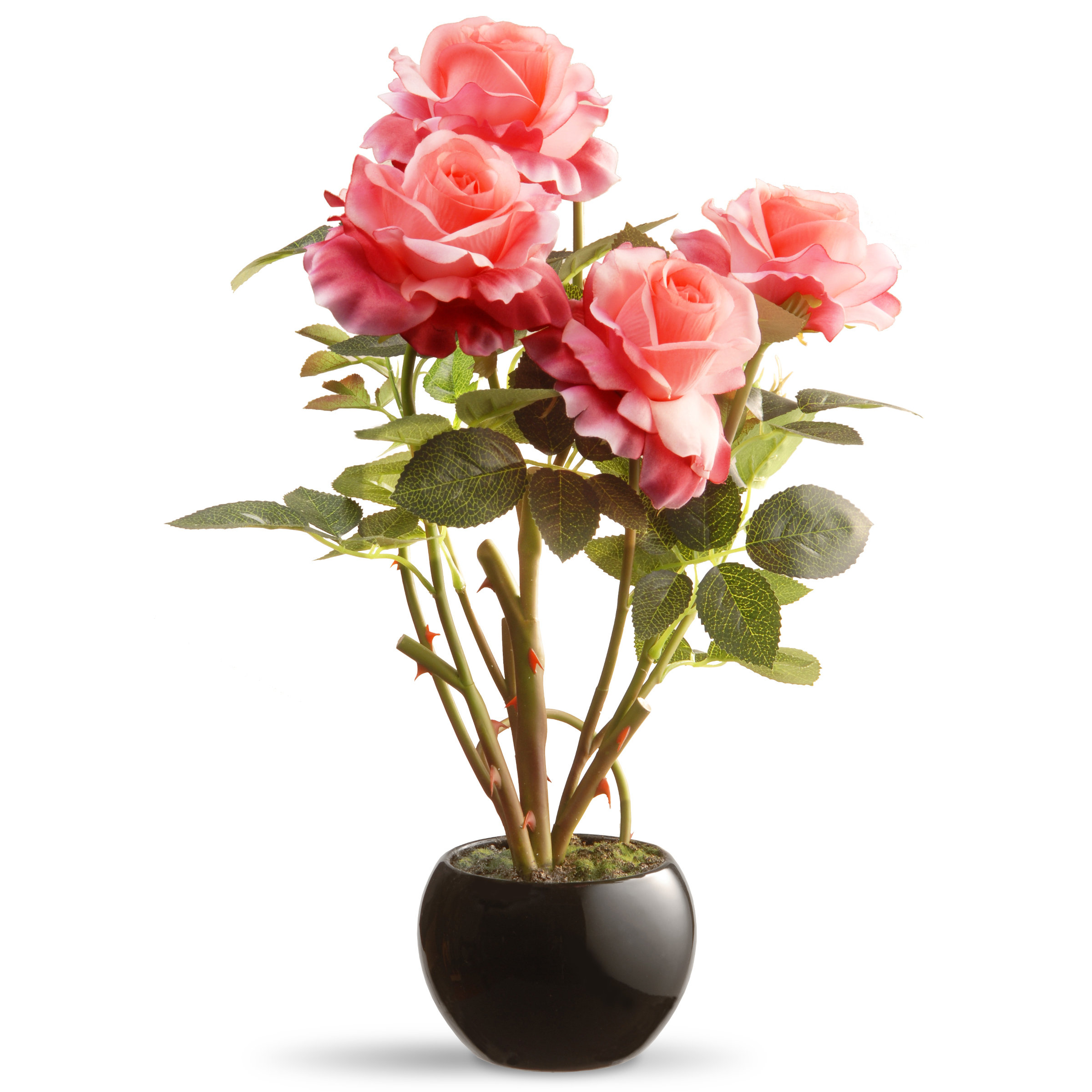 National Tree Co Rose Flowers In Pot Reviews Wayfair Rose Flowers In Pot Reviews Wayfair