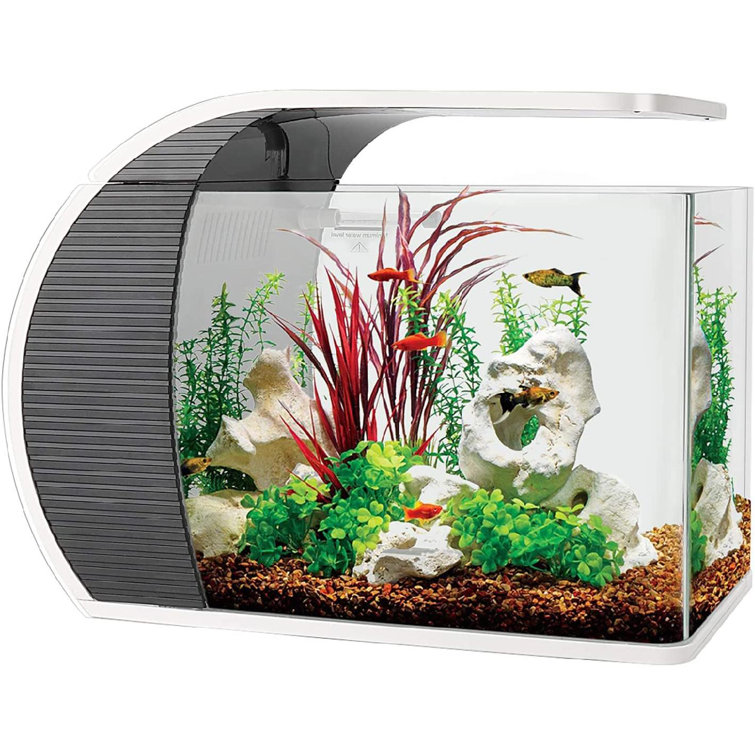small fish tank kit