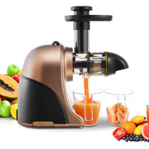 Masticating Juicer,Two-speed Mechanical Vertical Electric Juice Squeezer Slow Juicer Machines Easy Cleaning with Brush Cold Pressed Juicer Machine for Vegetable and Fruit Red 