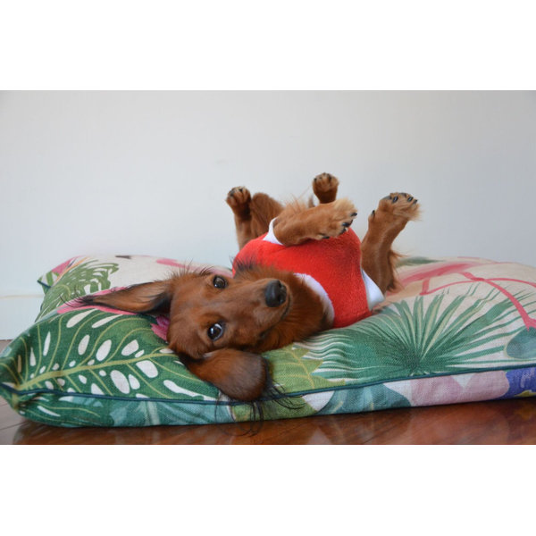 flamingo dog bed