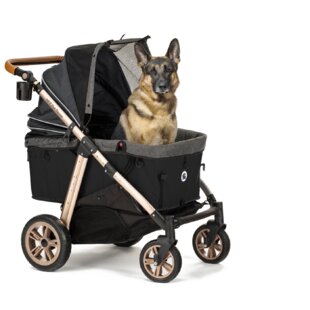 dog strollers for sale near me