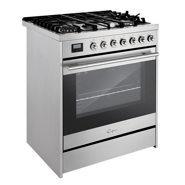 freestanding gas range with downdraft ventilation