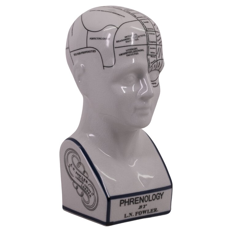 Authentic Models PHRENOLOGY HEAD MG020 Desktop Accessory 