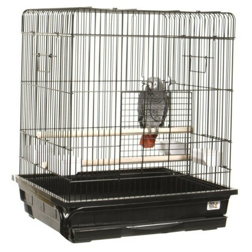 buy small bird cage