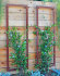 Latitude Run® Durenda 69'' H x 23'' W Steel Lattice Panel Trellis ...