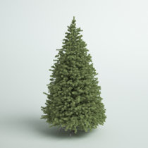 Bellingham Christmas Tree Pickup 2022 Wayfair | Christmas Trees You'll Love In 2022