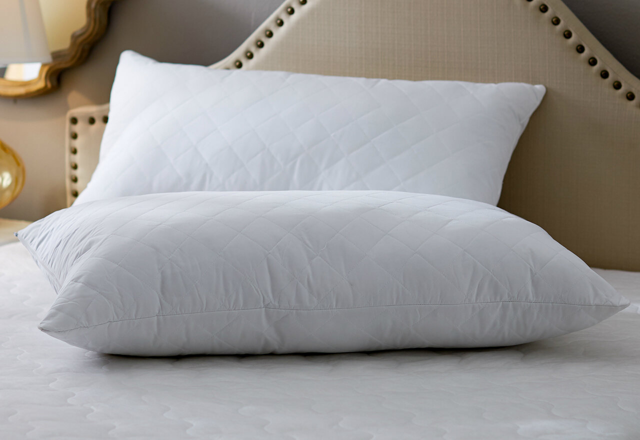 [BIG SALE] Dream Sleep TopRated Bed Pillows You’ll Love In 2023 Wayfair