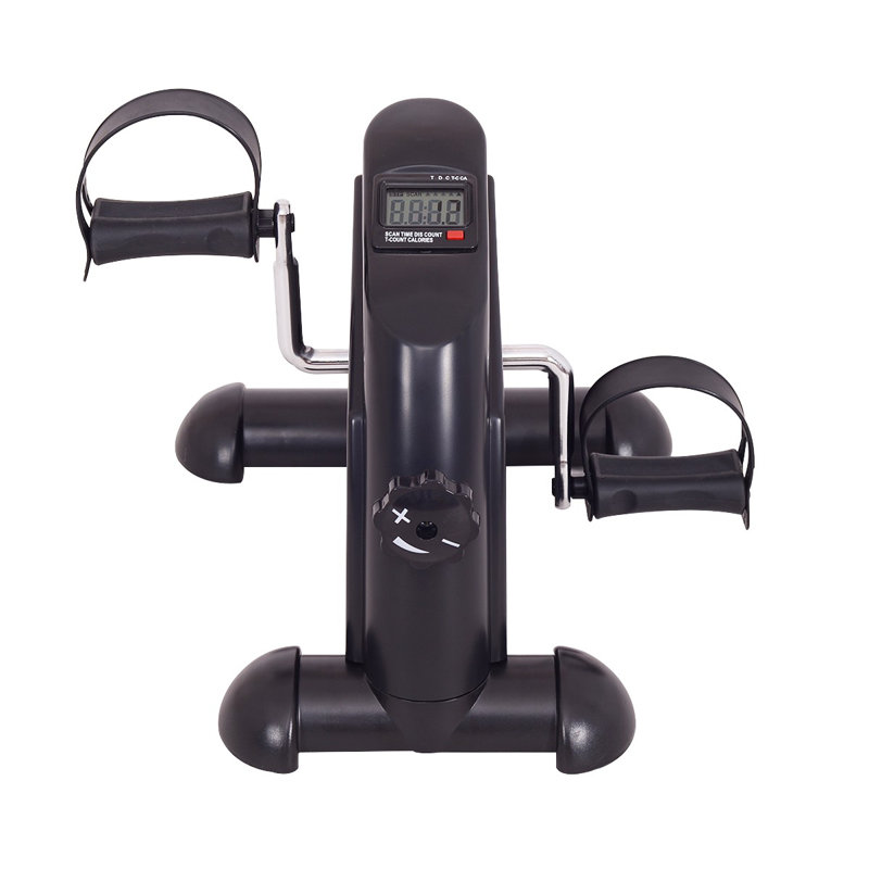 wayfair exercise bikes
