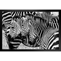 Zebra Fur Canvas Print Title Test 