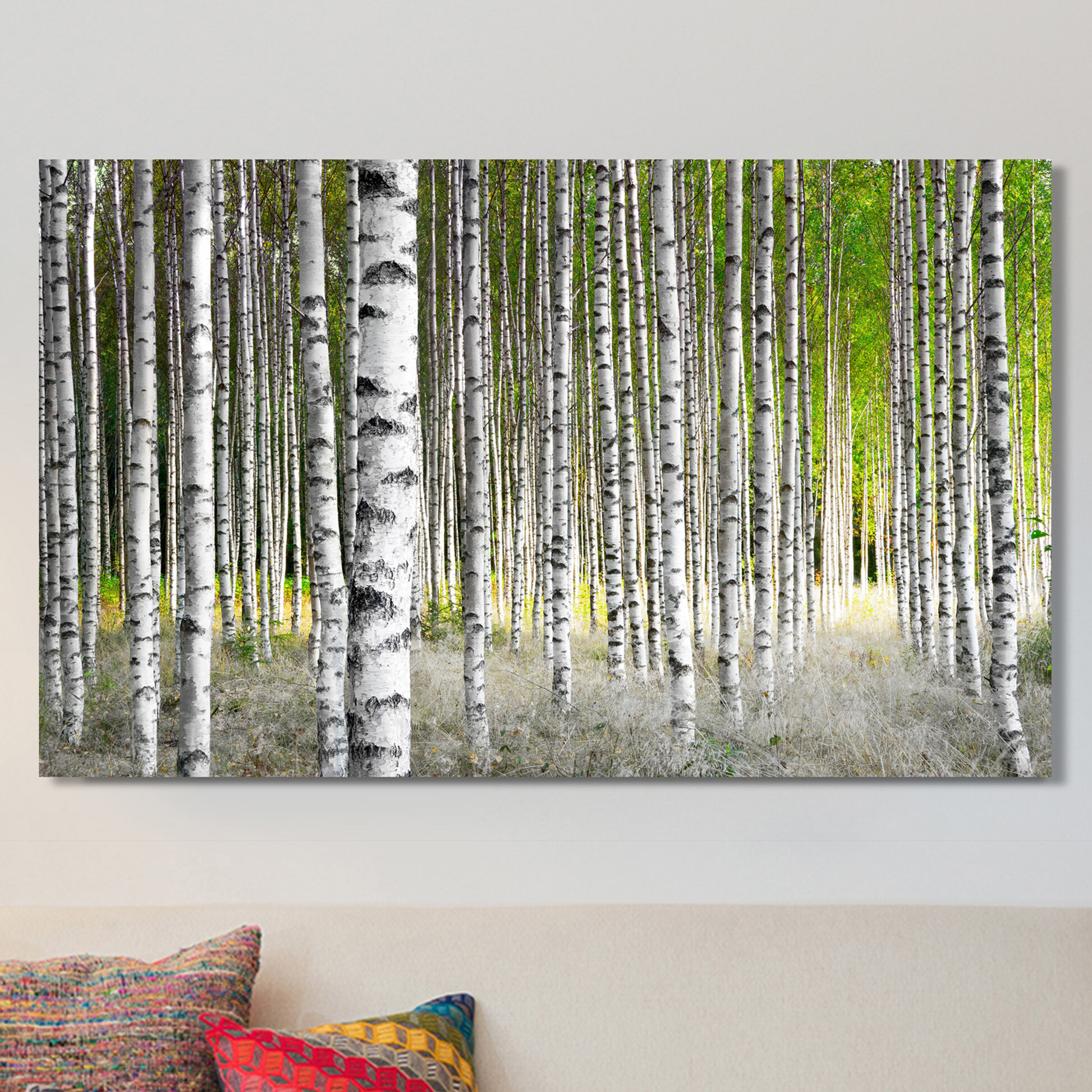 Millwood Pines Birch Trees 1 - Wrapped Canvas Photograph | Wayfair