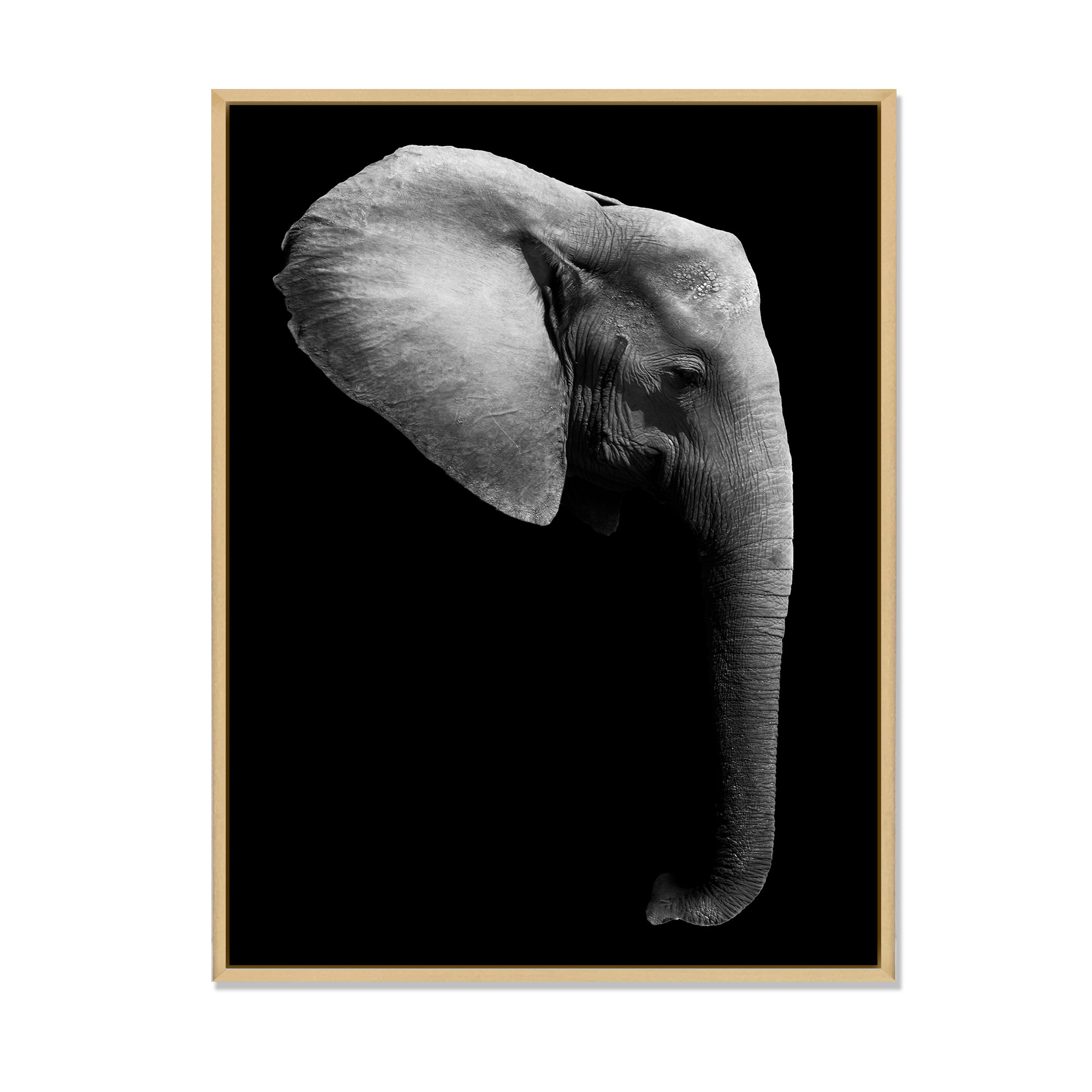 Ebern Designs African Elephant In Black And White African Elephant In Black And White Graphic