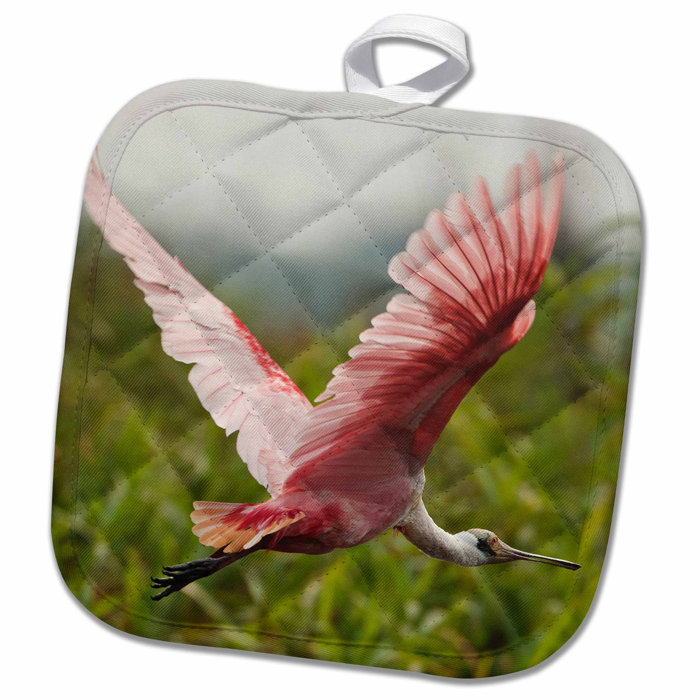 3drose Pantanal Brazil Roseate Spoonbill Bird And Mary Ann