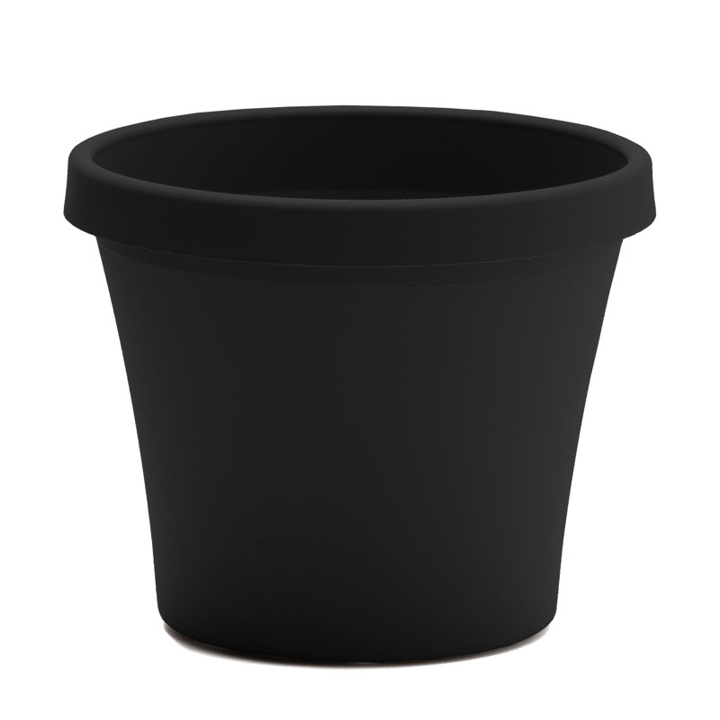Terra Traditional Plastic Indoor/Outdoor Pot Planter Size: 8.5" H x 10.75" W x 7.5" D, Color: Charcoal