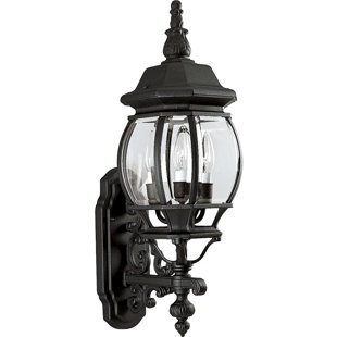 Go to store & view more images Triplehorn 3-Light Outdoor Sconce by Alcott Hill