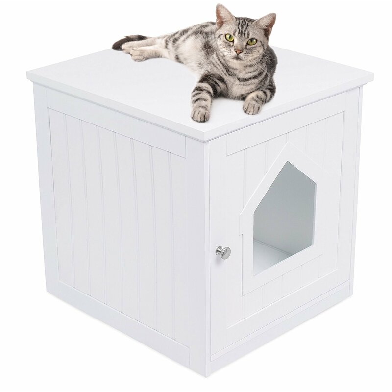 wayfair cat litter box
