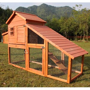 Chicken House