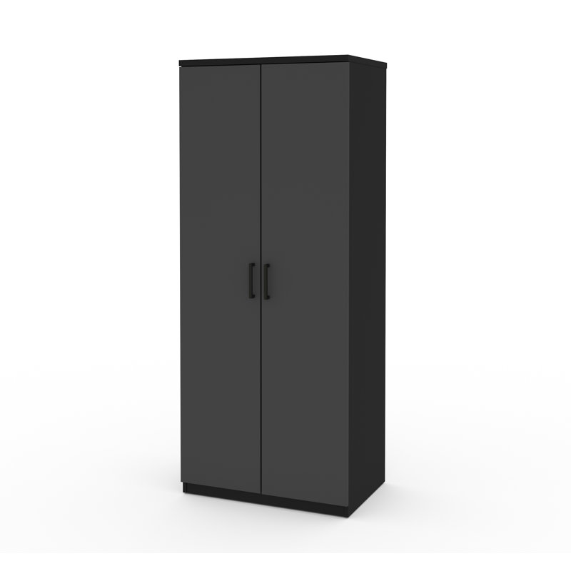 Rebrilliant Chavez 72 4 H X 29 5 W X 19 5 D Armoire Wayfair Ca