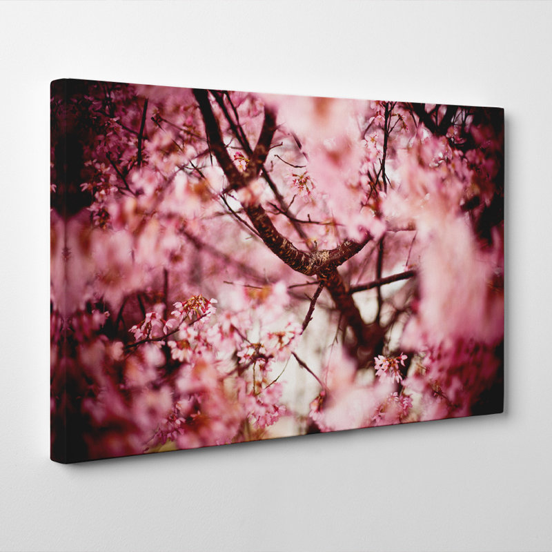 Big Box Art Pink Cherry Blossom Tree Flowers Photographic Print On