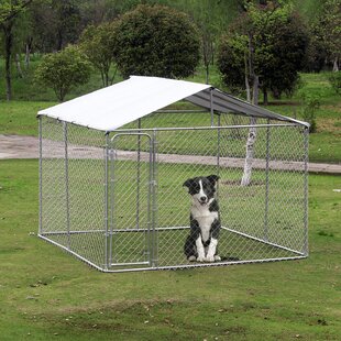 cheap outdoor dog kennels
