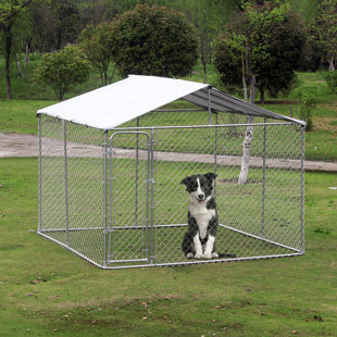 outside dog pen